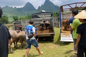 Một số định hướng triển khai Chương trình giảm nghèo giai đoạn tới