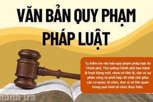 Tự kiểm tra văn bản quy phạm pháp luật do Chính phủ, Thủ trướng Chính phủ ban hành - hoạt động chưa có tiền lệ