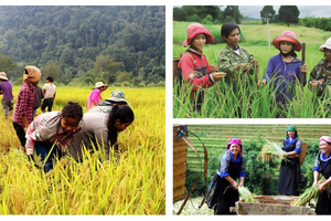 Hơn 12 triệu tỷ đồng cho chương trình nông thôn mới và giảm nghèo giai đoạn 2026 - 2035