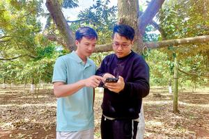 Đắk Lắk bứt phá nhờ động lực chuyển đổi số từ khối doanh nghiệp