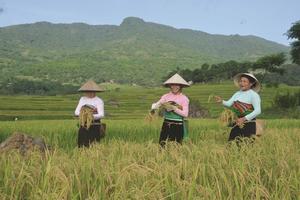 Lồng ghép, đa dạng hóa nguồn lực để giảm nghèo bền vững