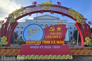 Cà Mau: Rộn ràng không khí hướng về Đại hội đại biểu Đảng bộ tỉnh lần thứ I, nhiệm kỳ 2025 - 2030