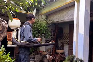 Khánh Hòa ghi nhận 6.392 ca mắc sốt xuất huyết trong 9 tháng