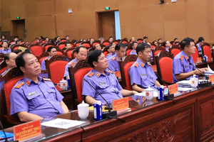 Ban hành kế hoạch thực hiện chỉ thị, hướng dẫn về phòng, chống tham nhũng, lãng phí