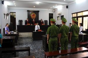 Xét xử phúc thẩm vụ “gà lôi trắng”: Bị cáo Thành được tuyên miễn trách nhiệm hình sự