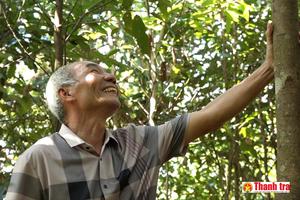 Ba Chẽ - Quảng Ninh: Giảm nghèo bền vững từ kinh tế rừng