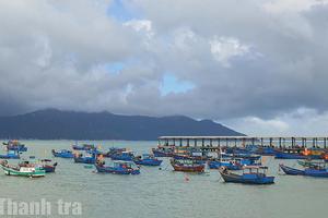 Thủ tướng chỉ đạo tập trung thực hiện tháng cao điểm chống khai thác hải sản bất hợp pháp