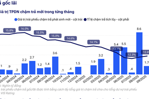 Tổng giá trị trái phiếu phát hành đạt 425.000 tỷ đồng