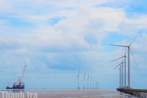 Cà Mau: 9 tháng năm 2025, GRDP tăng 7,53%, nhiều lĩnh vực đạt kết quả tích cực