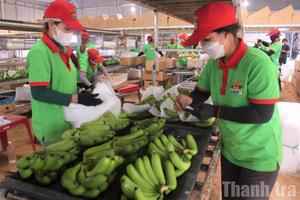 Đắk Lắk: Nghị quyết 68 khẳng định vai trò "động lực" của kinh tế tư nhân