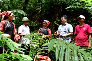Bộ máy tinh gọn, hoạt động hiệu quả: Dấu ấn sau sắp xếp chính quyền ở Lai Châu