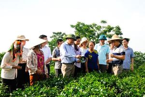 Thái Nguyên: Đầu tư giảm nghèo có trọng điểm, ưu tiên vùng đặc biệt khó khăn