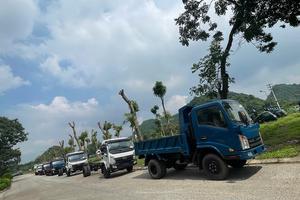 VEAM đấu giá thành công 890 xe ô tô, thu về hơn 176 tỷ đồng