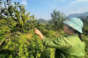 Thái Nguyên: Khắc phục khó khăn, đẩy nhanh tiến độ Chương trình mục tiêu quốc gia giảm nghèo