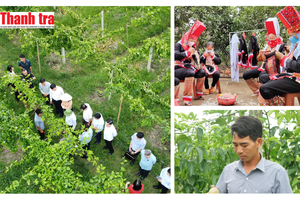 Quảng Ninh vững bước về đích không còn hộ nghèo