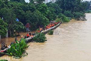 Thái Nguyên tập trung khắc phục hậu quả sau bão số 11, ổn định đời sống Nhân dân