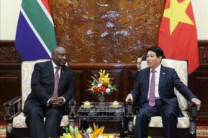 Chủ tịch nước Lương Cường hội đàm với Tổng thống Nam Phi