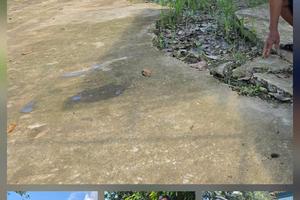 Phó Chủ tịch UBND tỉnh Thanh Hóa chỉ đạo kiểm tra, xác minh nội dung Báo Thanh tra phản ánh