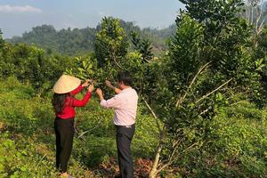 Tín dụng chính sách: “Đòn bẩy” giúp người dân thoát nghèo