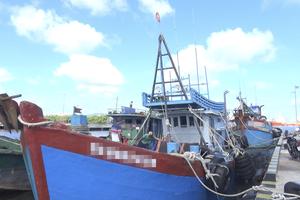 Thành phố Hồ Chí Minh: Tập trung xử lý tồn đọng trong quản lý tàu cá, chống khai thác IUU