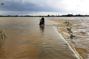 Gia Lai: Tuy Phước Đông chủ động ứng phó mưa bão