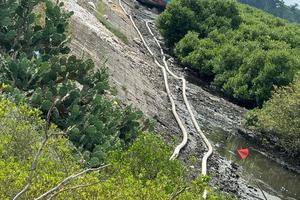 Thanh Hóa: Chỉ đạo xử lý dứt điểm tình trạng nuôi tôm trái phép tại nhiều địa phương ven biển