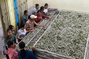 Hội Nông dân xã Ân Hảo – Đoàn kết, đổi mới, tiên phong trong phát triển nông nghiệp và xây dựng quê hương