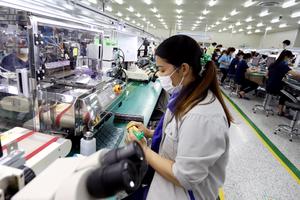 Phú Thọ đẩy mạnh giải quyết việc làm, hướng tới phát triển bền vững