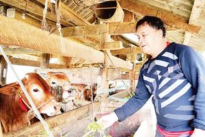 Hoàn thiện thể chế, nâng cao hiệu quả quản lý Chương trình giảm nghèo bền vững