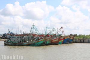 Vĩnh Long: Quyết liệt chống khai thác IUU, gỡ “thẻ vàng” hướng tới phát triển bền vững ngành thủy sản