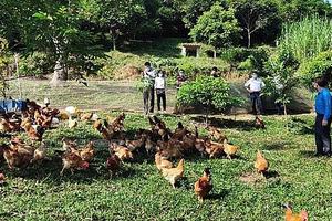 Thái Nguyên phấn đấu cuối năm 2025 giảm tỷ lệ hộ nghèo xuống còn 4,65%