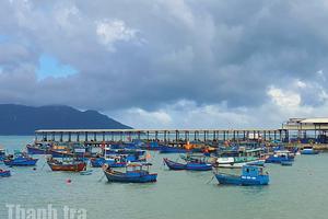 Cà Mau xử nghiêm hành vi khai thác thủy sản trái phép