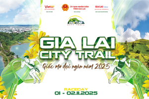 Gia Lai City Trail 2025: Hành trình khám phá sắc vàng dã quỳ và Biển Hồ xanh