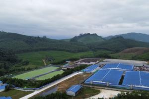 Thanh Hóa: Yêu cầu trang trại lợn dừng hoạt động do gây ô nhiễm môi trường