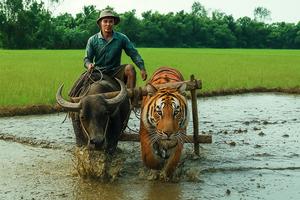 Vĩnh Hoàng – Cả làng nói trạng giữa đất lửa Quảng Trị