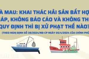 Cà Mau: Khai thác hải sản bất hợp pháp, không báo cáo và không theo quy định thì bị xử phạt thế nào?