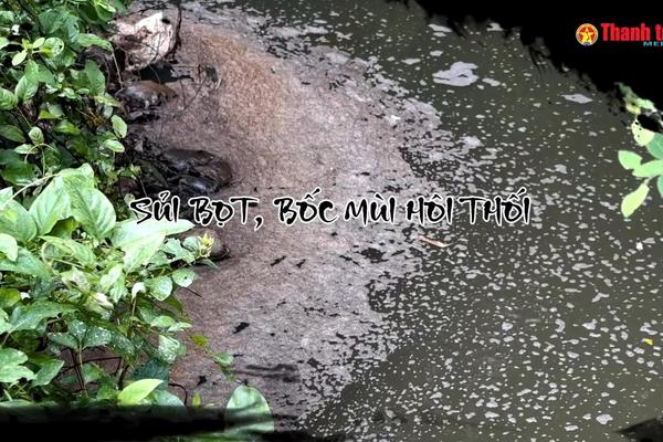 Alo Thanh tra số 44: Xã Bình Minh (Hà Nội): Kênh Hòa Bình ô nhiễm nghiêm trọng, ảnh hưởng đến đời sống của hàng trăm hộ dân