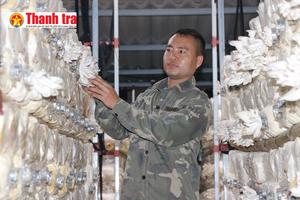 Nông dân Hưng Yên làm giàu từ nghề trồng nấm sạch