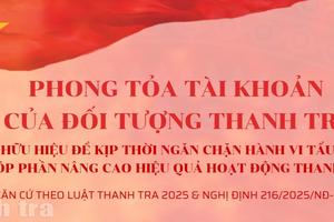 Khi nào tài khoản của đối tượng thanh tra bị phong tỏa?