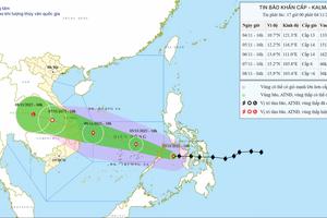 Bão Kalmaegi có khả năng ảnh hưởng trực tiếp khu vực từ Đà Nẵng đến Khánh Hòa khoảng từ đêm ngày 6/11