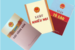 Thẩm tra toàn diện ba đạo luật quan trọng trong lĩnh vực tiếp công dân, khiếu nại và tố cáo