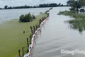 Đồng Tháp chủ động ứng phó với bão KALMAEGI