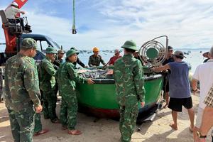 Gia Lai cơ bản hoàn thành di dời dân trước khi bão số 13 đổ bộ