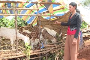 Mô hình sinh kế phù hợp: “Bà đỡ” giúp người dân thoát nghèo