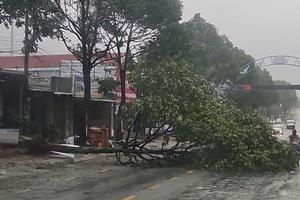 Đắk Lắk ban hành công điện khẩn ứng phó bão số 13 (Kalmaegi)