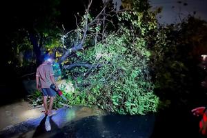 Hỗ trợ khẩn cấp 80 tỷ đồng cho 3 tỉnh Quảng Ngãi, Gia Lai, Đắk Lắk khắc phục hậu quả bão số 13