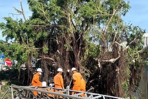 Miền Trung: Hơn 1,6 triệu khách hàng bị mất điện do ảnh hưởng bão số 13