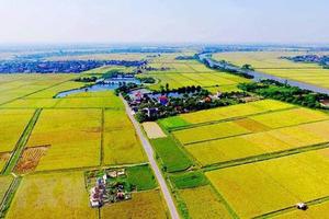 Các trường hợp được miễn thuế sử dụng đất nông nghiệp đến hết ngày 31/12/2030