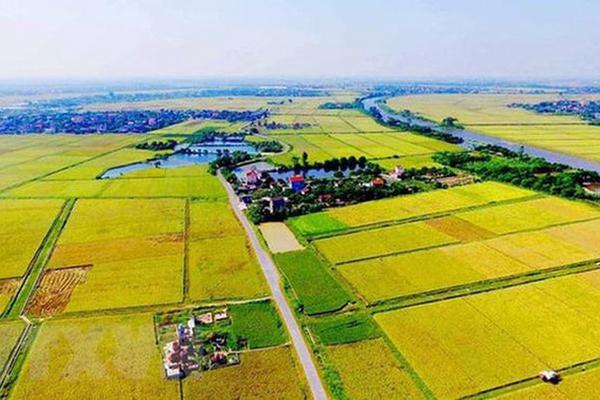 Các trường hợp được miễn thuế sử dụng đất nông nghiệp đến hết ngày 31/12/2030