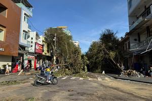 Tập trung khắc phục hậu quả bão số 13, ổn định đời sống Nhân dân sau thiên tai